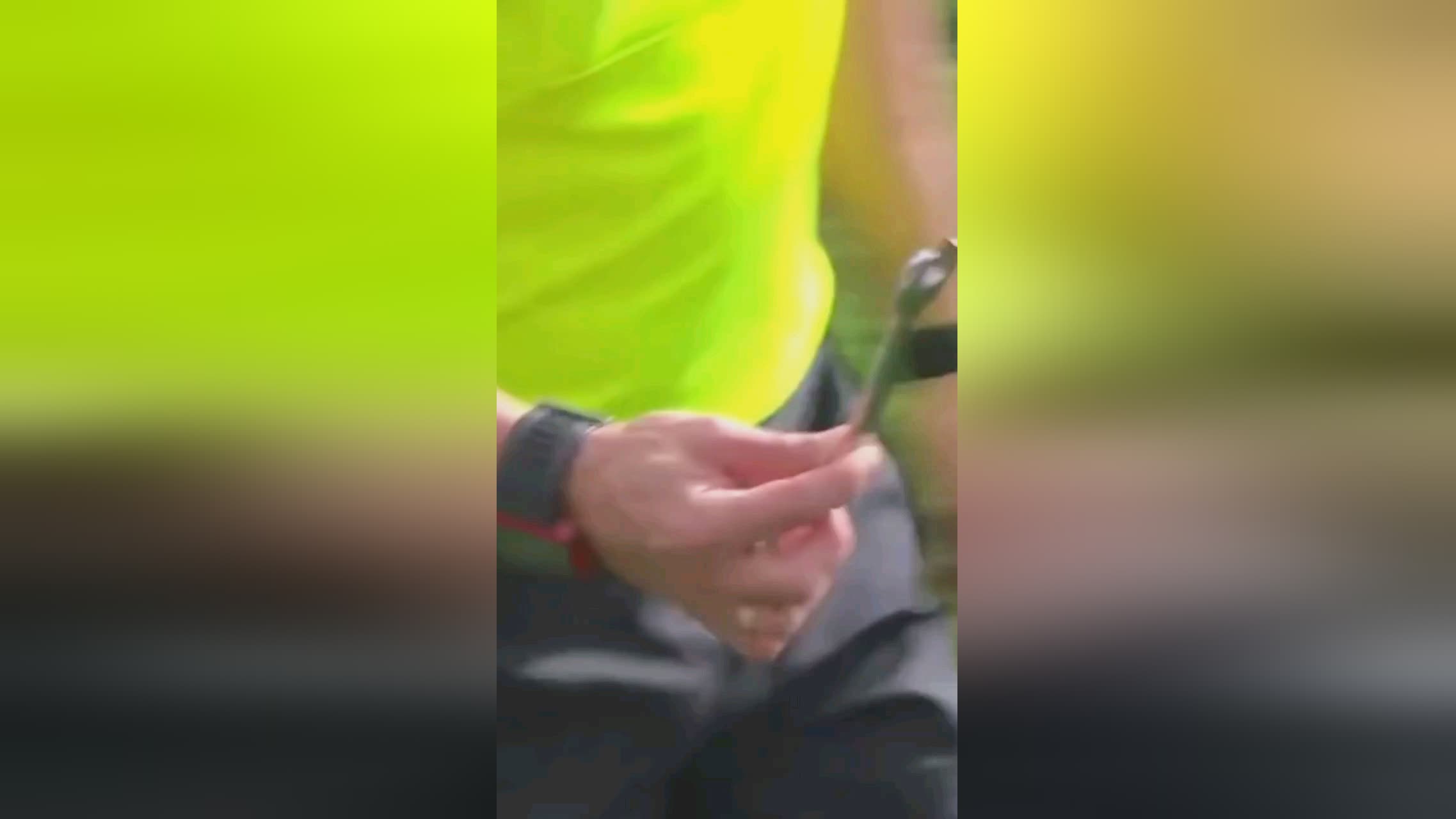泛的